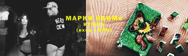стафф Вязьма