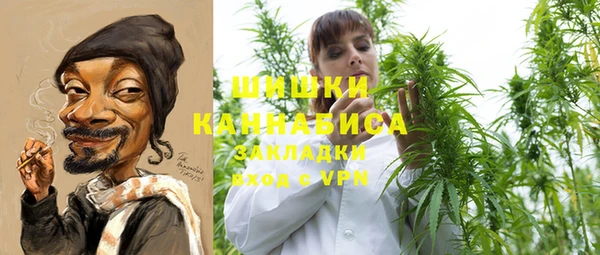 стафф Вязьма
